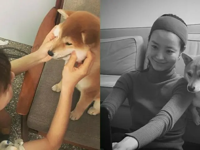 女優チョン・ユミと愛犬の日々が美しく可愛らしい件♡