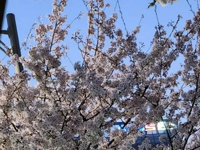 「2PM」イ・ジュノ、遅くなって公開された撮影中の桜…どれほど忙しかったのか