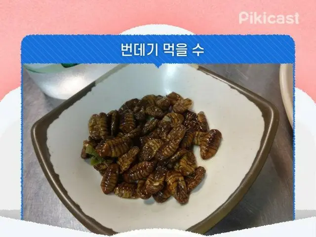 ポンテギを食べることができるvsできない？！