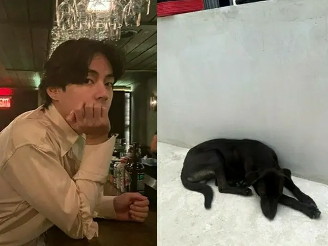 「BTS（防弾少年団）」V、「ソジンの家」の看板犬“ペロ”の養子縁組をサポート…静かに善行