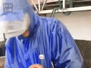 タコの吸盤の威力