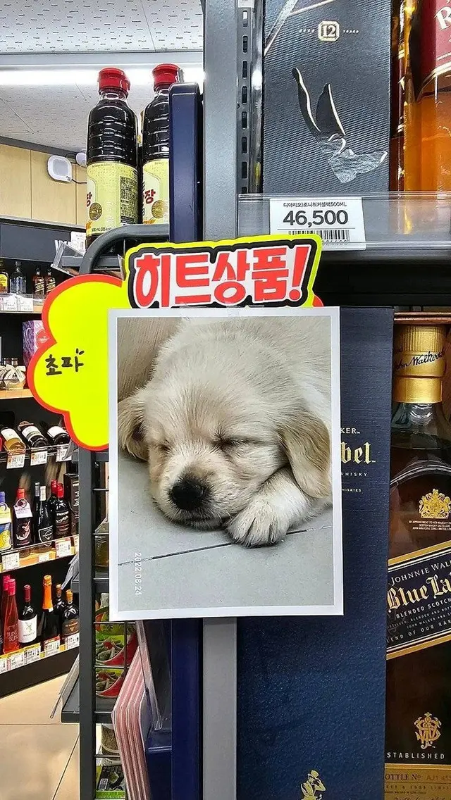 ヒット商品!
