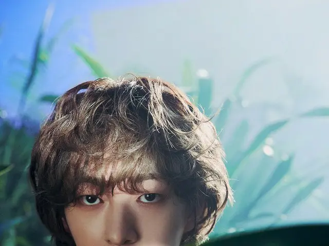 「SHINee」オンユ、インスタグラムから消えた掲示物にファンたち心配…“美しい写真なぜみんなおろしたの？”