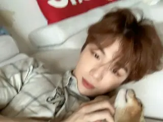カンダニエル（KANGDANIEL）、愛猫と過ごす幸せな癒しの時間（動画あり）
