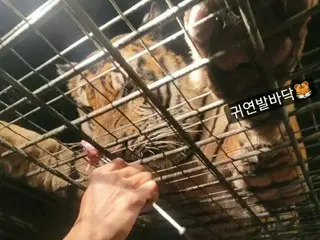 海外の動物園で撮った写真を公開して非難される韓国女優