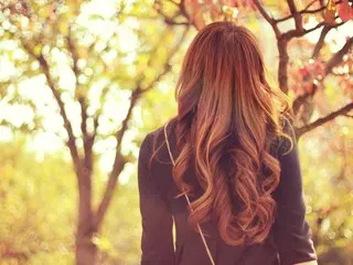 今年の秋は何をする？秋を満喫するための休日の過ごしかた8選