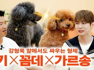 「SHINee」KEY（キー）、愛犬コムデ＆ギャルソンと一緒にYouTubeコンテンツに出演…“犬の幼稚園に行かせている”（動画あり）