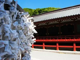 初詣のデートを成功させるポイントを紹介