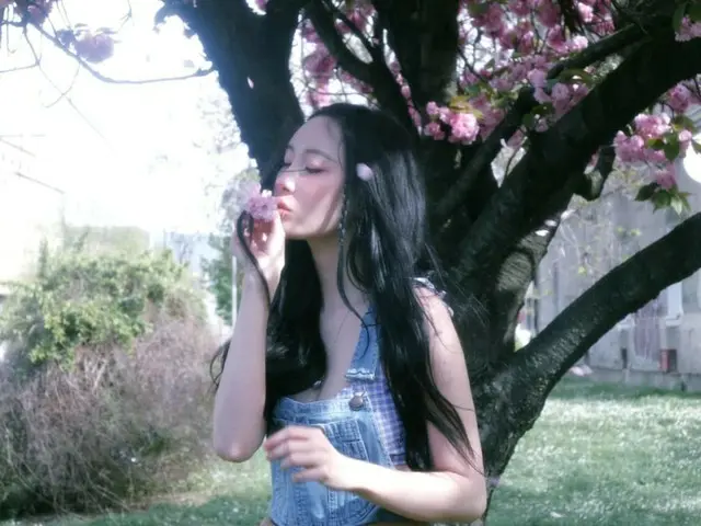 歌手ソンミ、風が吹く草原の中での幻想的な近況ショット…「写真には花しかいないのに」