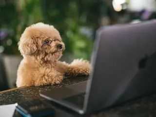 9割が知らない！！休みが多くて稼げる仕事10選