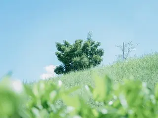 20代の自分に伝えたい5つのこと