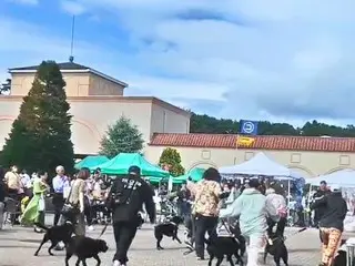 with Dogs club「Happy！ワンDaysフェスタ」4万人を動員し大盛況のうちに終了