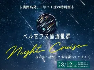 淡路島の夏の夜を舞台に流星群とクルーズの特別な体験