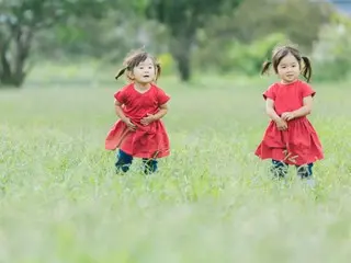 【子育て世帯必見！】神コスパ保険