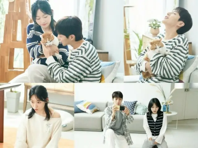 「HIGHLIGHT」ユン・ドゥジュン＆キム・スルギ、猫をめぐる離婚戦争…「ニャン育権戦争」で甘くも激しいケミ