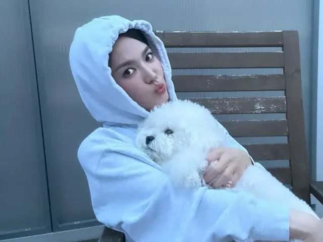 女優ソン・ヘギョ、愛犬を抱きかかえて致命的な美しさ発散