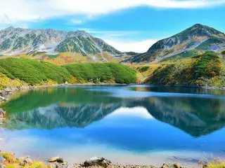 立山黒部アルペンルート、早期に色づき始める紅葉情報の配信をスタート
