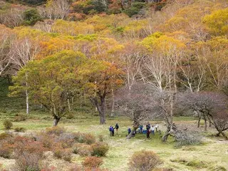 秋を彩る絶景！限定開催「普段は入れない！赤城白樺牧場 秘密の絶景ツアー 2025Autumn」