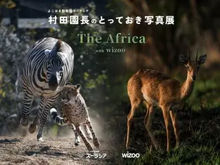 よこはま動物園ズーラシアと動物園水族館探求メディアwizooがコラボレーションし、共同写真展を開催！