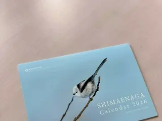 北海道撮影ポイントとタッグを組んだ「シマエナガカレンダー2026」、マテックプロダクツから新発売