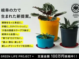 岐阜のものづくりから生まれた「19色から選べるオリジナルプラ鉢セット」プロジェクト