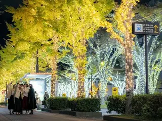 和歌山市が彩る光の祭典「けやきライトパレード」-全長3km、130万球のイルミネーションストリートに500機のドローンショーも