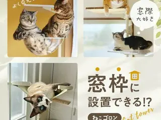 窓枠取付型キャットタワー「ねこゴロン」が特別価格で手に入る期間限定セール開催！