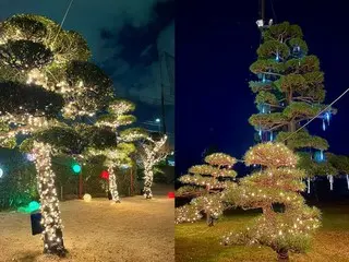 ZAMA GOLFが提供する非日常 「ZAMA GOLF ナイトイルミネーション 2025」で冬の夜を楽しもう