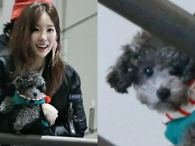 「少女時代」テヨンの誕生日に愛犬ジェロちゃんが登場する!?