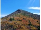 韓国・雪岳山に紅葉シーズン到来　見頃は来月下旬