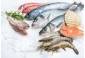 昨年の「日本魚介類」輸入額、福島原発事故以降 “最大”＝韓国